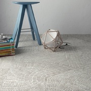 Fossil - Piastrelle 60x60 cm per pavimenti e rivestimenti 